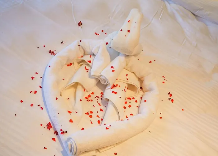 Accommodatie bij particulieren Hill House